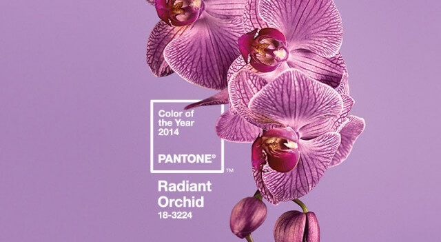 PANTONE 18-3224 Radiant Orchid